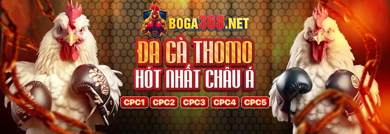Tổng hợp khuyến mãi mới nhất tại 77win6 Nhà Cái