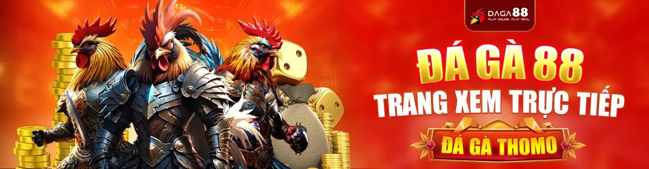 Sân đấu đá gà trực tuyến sôi động tại 77win6 nhà cái