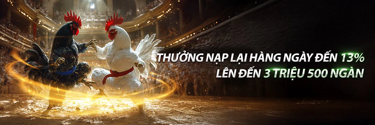 Đá Gà Trực Tuyến 77WIN6 Nhà Cái